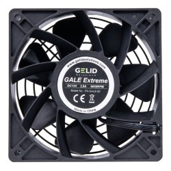 GALE EXTREME MINING
